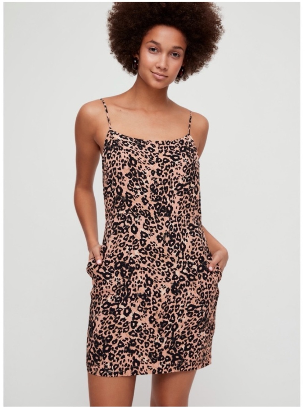 Aritzia Wilfred Isabelle Dress